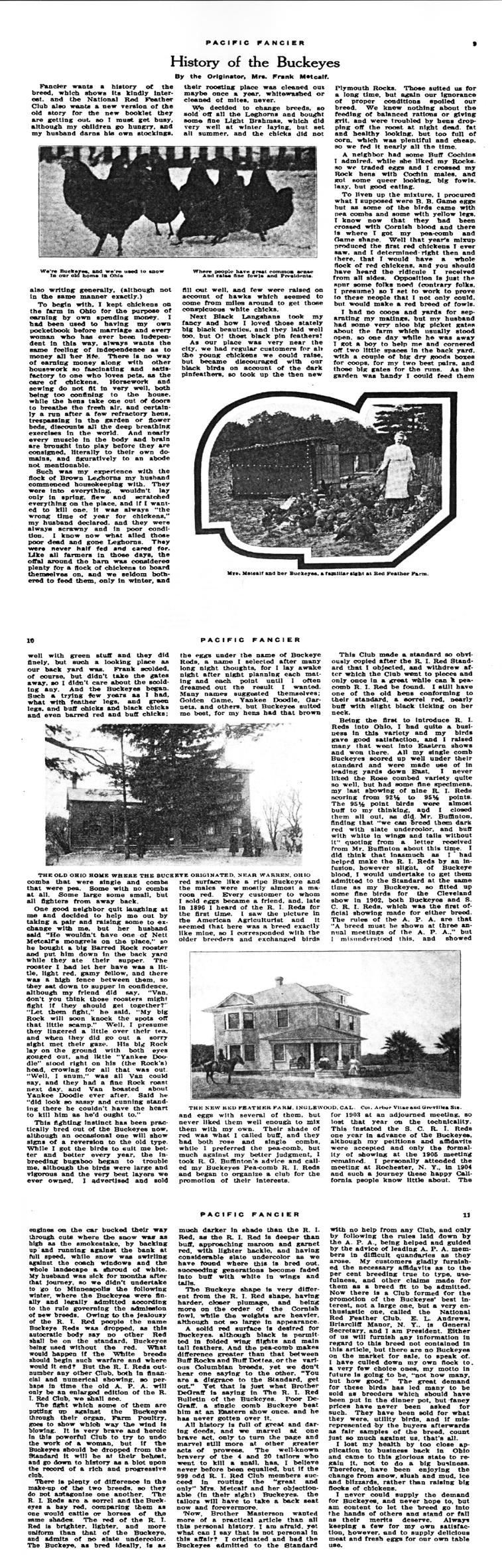 History of the Buckeye chicken, by Nettie Metcalf
